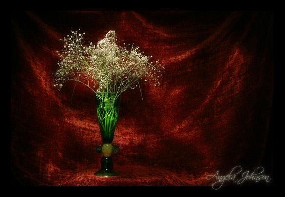 <b>Red & Green painted with light</b><BR> <i>by Angela Johnson</i>
