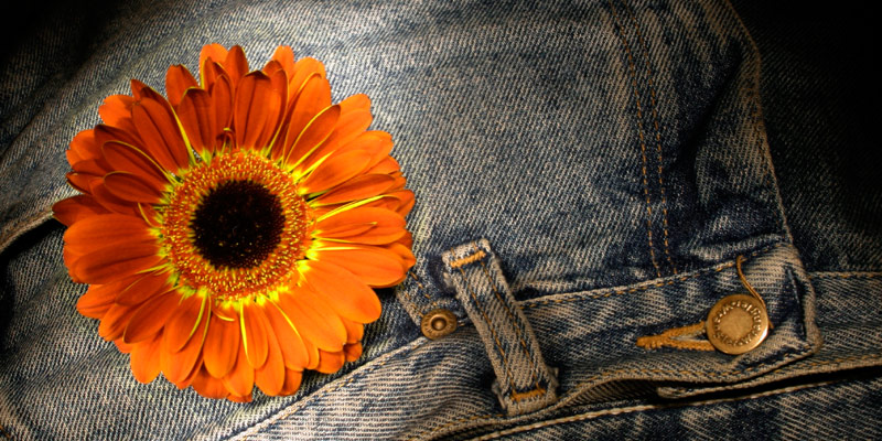 <B>5th Place (tie)</B><BR><i>Blue Jeans and Sunflower<br>byJing He</i>