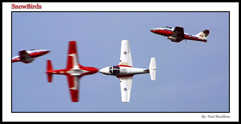 <b>Snowbirds*</b><br><i>by Paul Stuckless