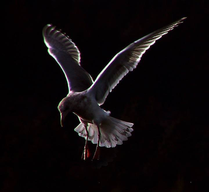Bathed in Light<br><b>7th Place</b>