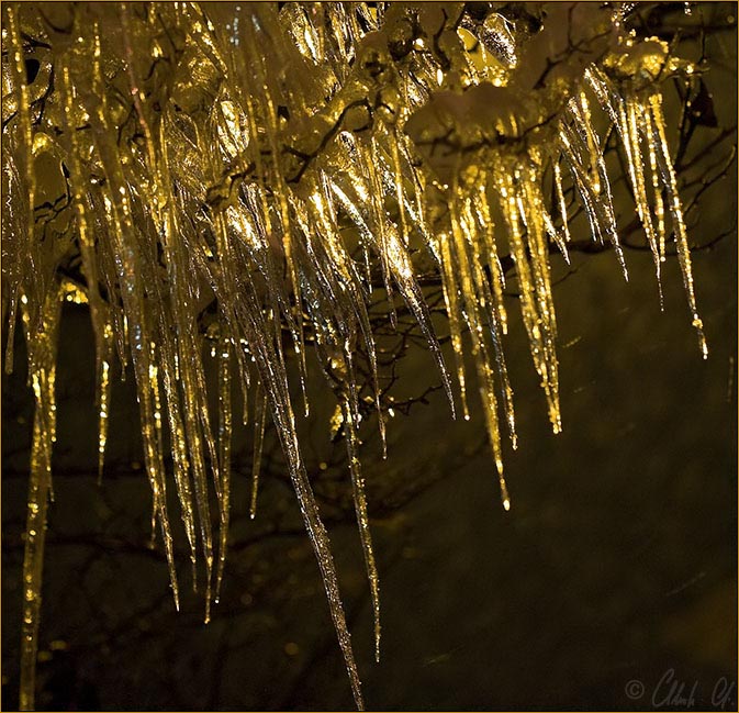 Frozen Light *