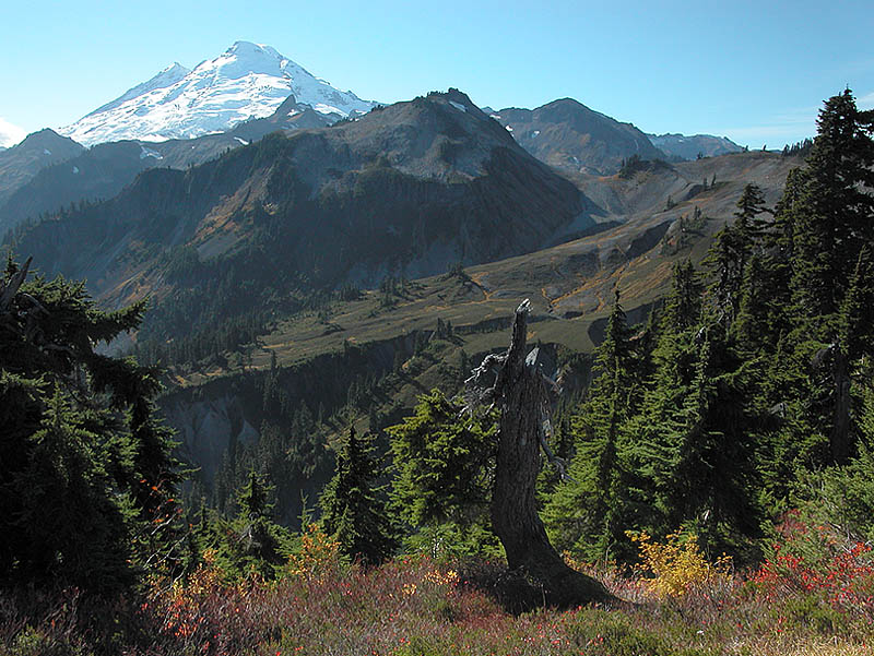 Mt. Baker from Artist Ridge