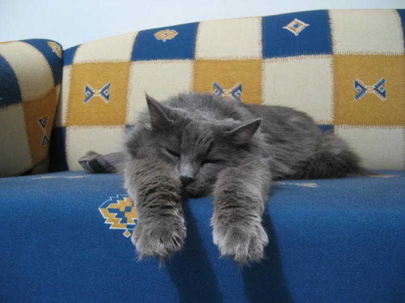 no more photos(*)