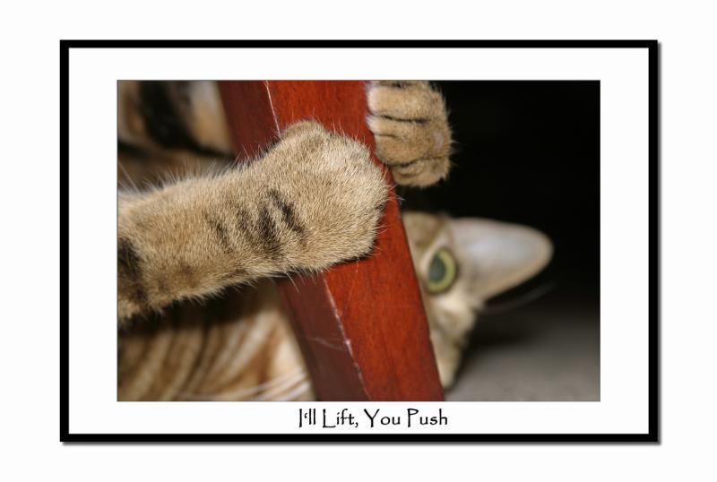 Ill lift, you push