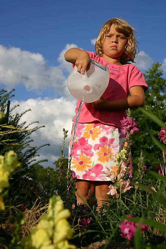 Watering Grandmas Flowers * <br>by Billy WEbb