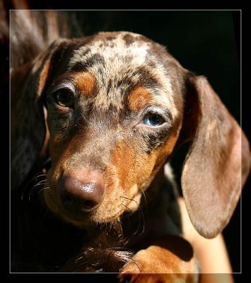 She's Got Betty Davis Eyes *