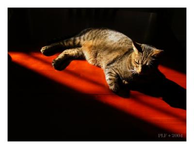 oN tHe tAble (*)