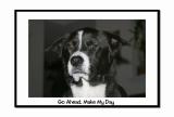 Go ahead - make my day