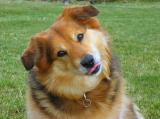 Did you just say bone?*