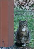<b>Ill just sit here...</b>