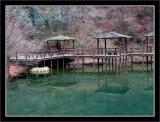 Bridge over Kurondo-ike Pond