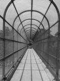 Cannonball Trail Bridge*