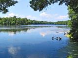 The Lake *