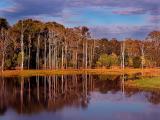 Tingalpa Creek *