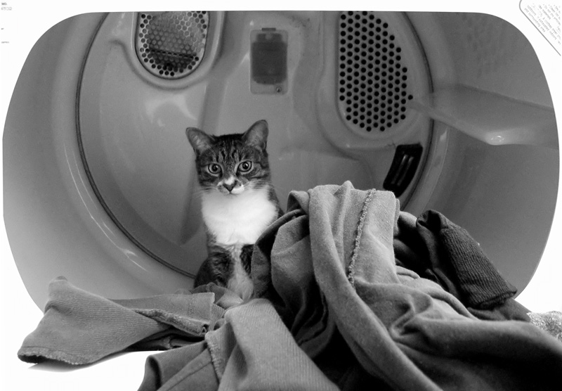Its nice and warm in here! (*)