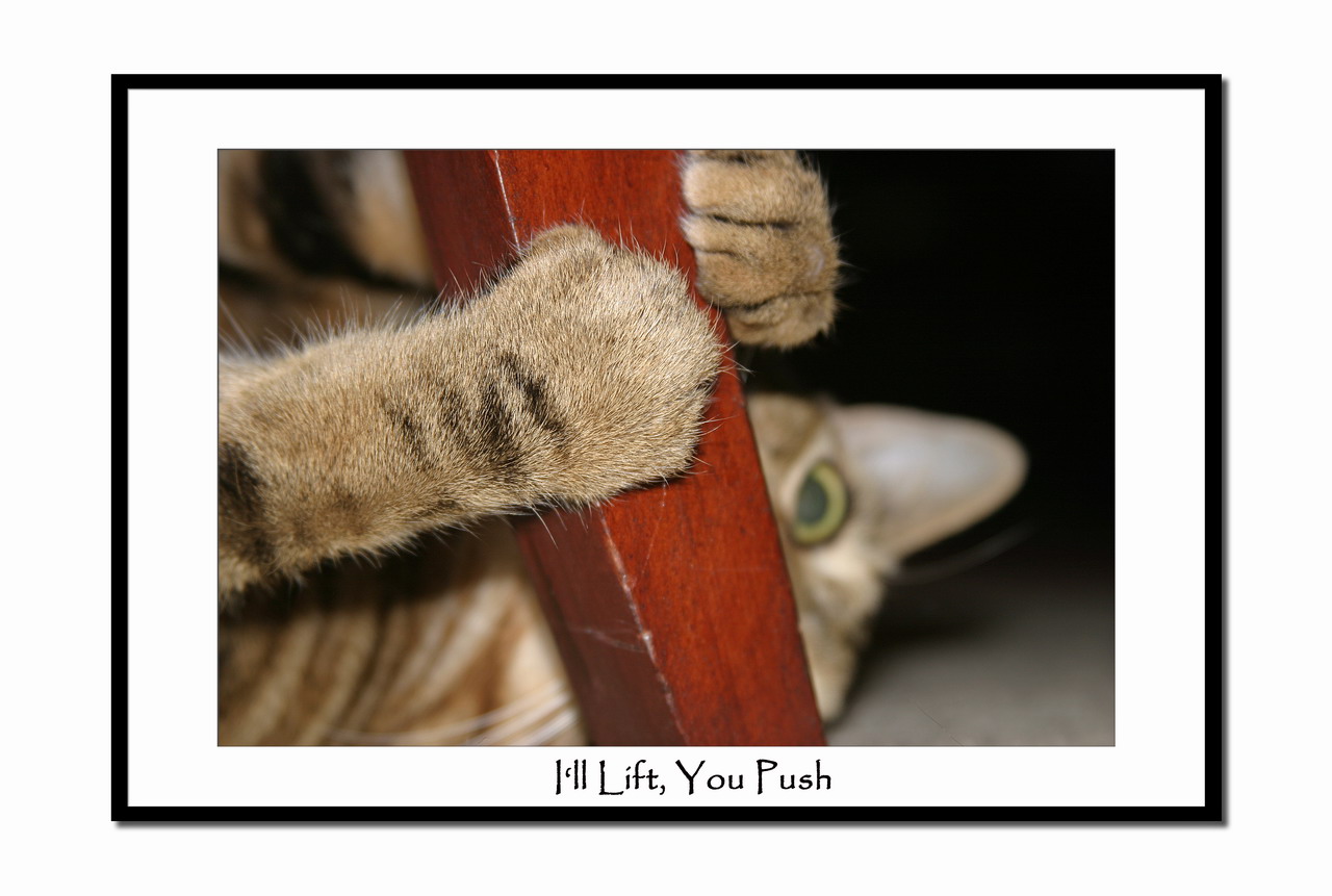 Ill lift, you push