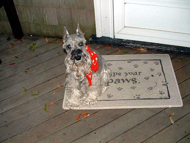 Mitzi *