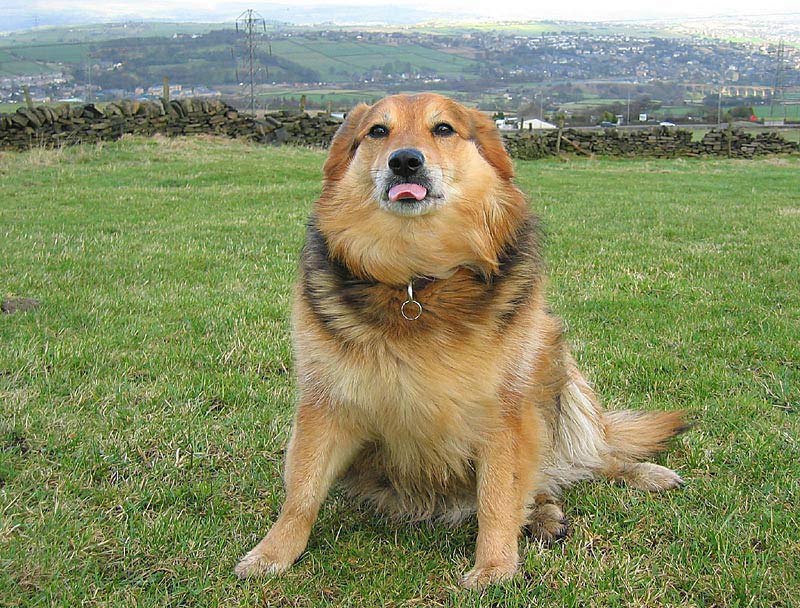 Gene Simmons, eat your heart out*
