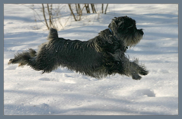 <b>I can fly!</b><br> *
