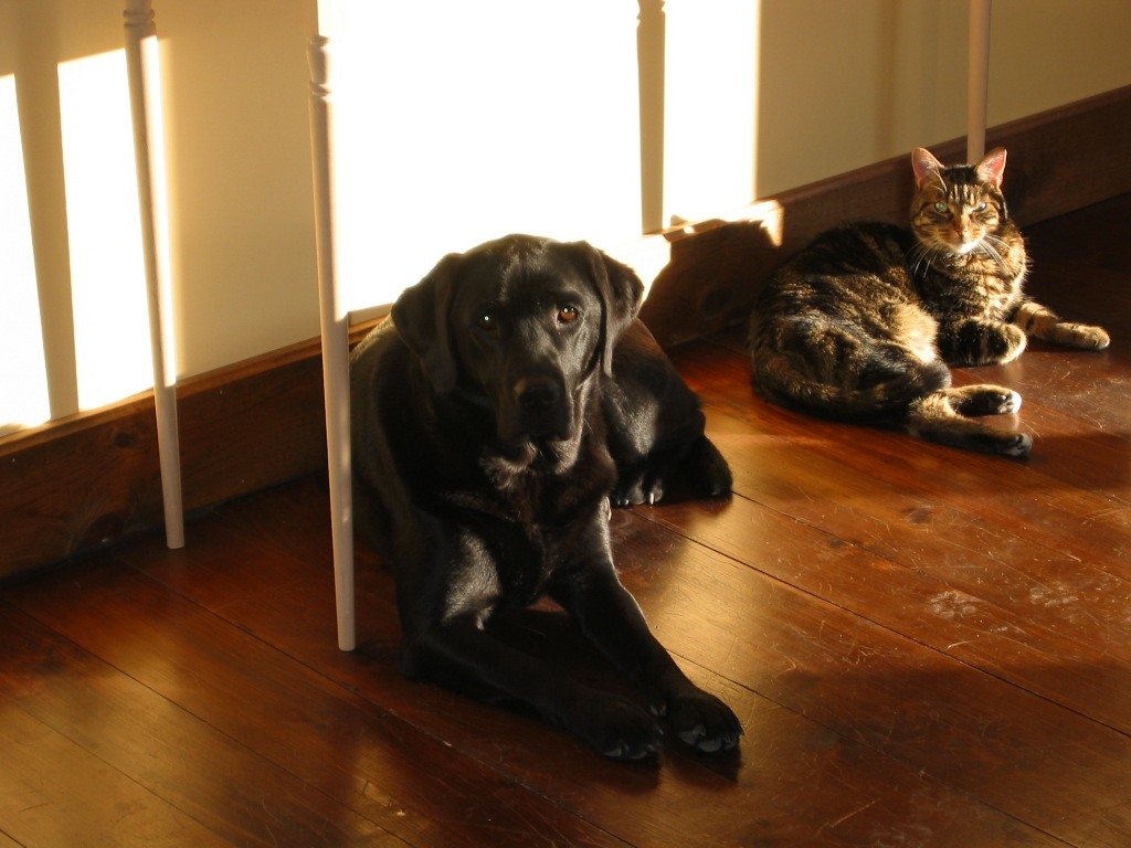 Sharing The Sun