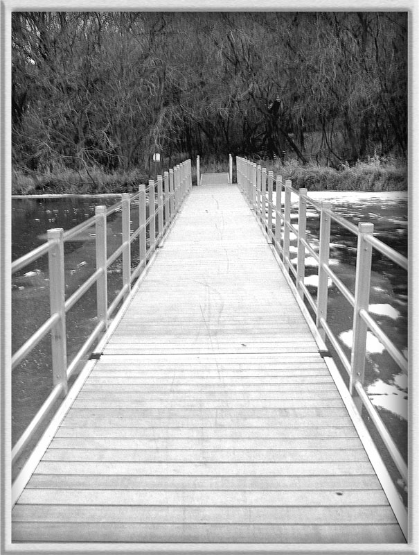 Bridge Over Icy Waters  (*)