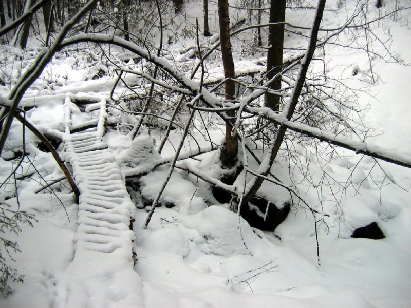 Forgotten (*)