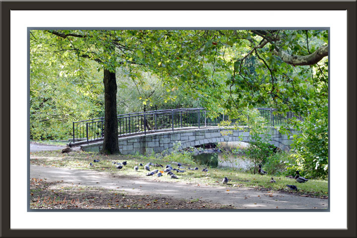 * Manhasset Valley Park