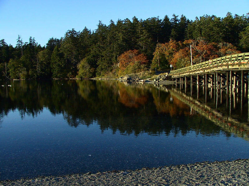 Reflections of Fall.jpg