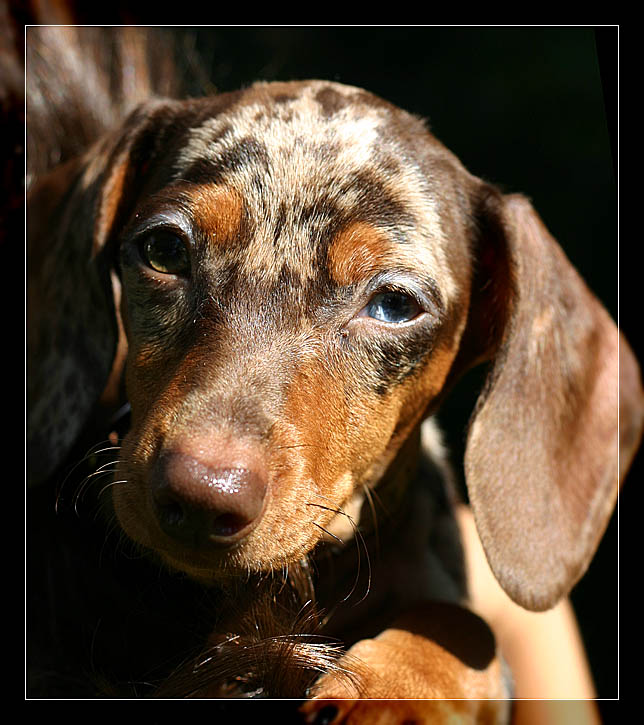 <B>Shes Got Betty Davis Eyes</b> *