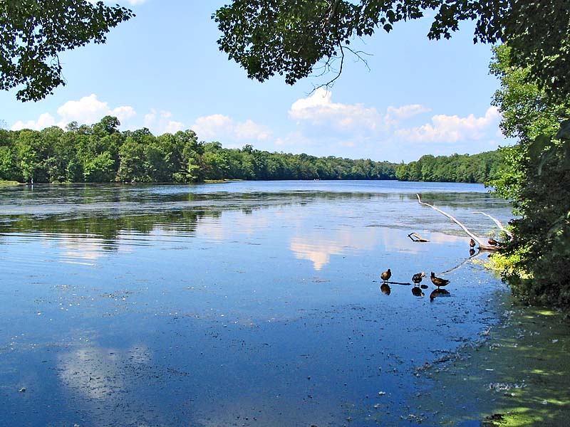 The Lake *