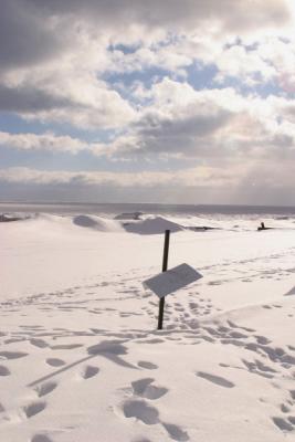 Lake Michigan10.jpg