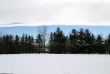 Snow Scenery.jpg