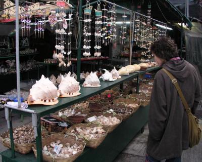 A small shop selling shells