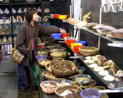 A small shop selling shells