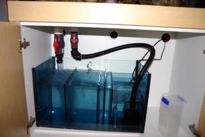 setup3.jpg