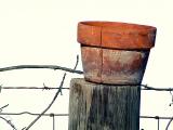 CRACKED POT