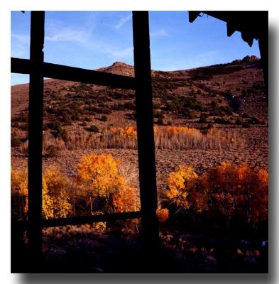Aspens Viewed from the Chemung Mine Ruins