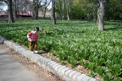 Brooklyn Botanic Garden Spring
