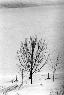 vermont in Winter