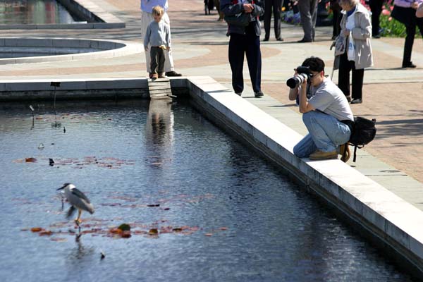 Brooklyn Botanic Garden Spring