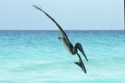 u40/davidk2000/medium/40124320.200502180049CancunDay7Beach.jpg