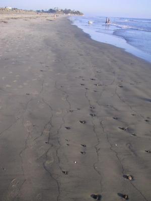 Wet Sand.jpg