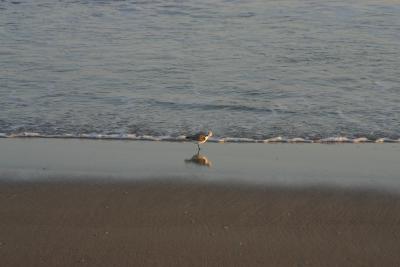 IMG_5610.JPG