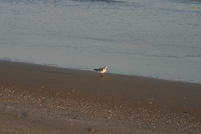 IMG_5611.JPG