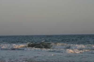 IMG_5613.JPG