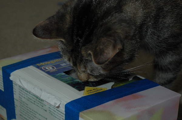 I know its in there....