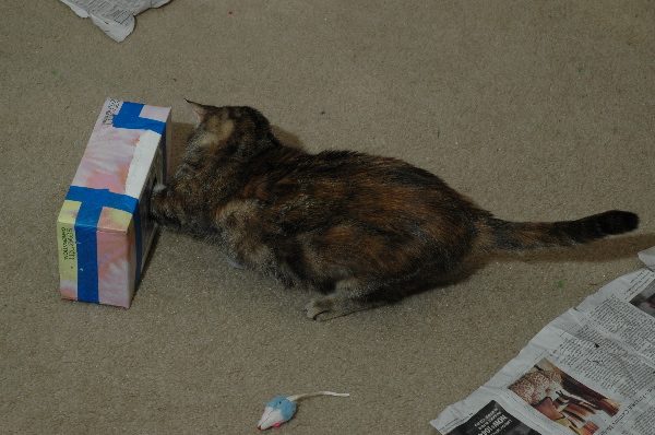 Emily at play - 06.jpg