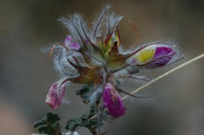BBNP057.jpg