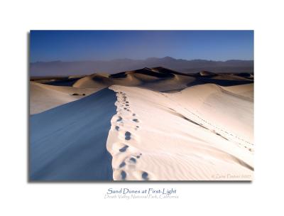 Sand Dunes at First-Light