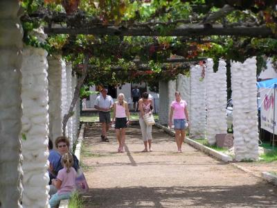 Klein Plaasie Vine walk Marendol Farm